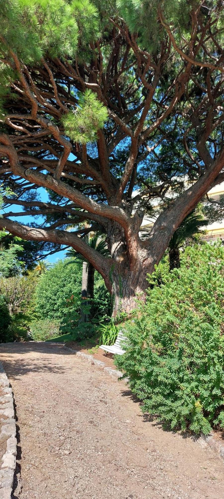 - Sea View- Swimming Pool - Parking -